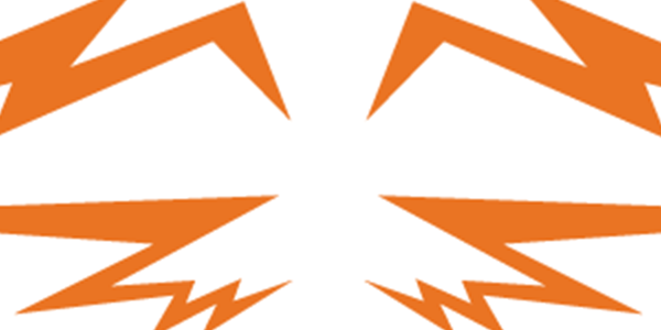Thunderbird Airlines Logo